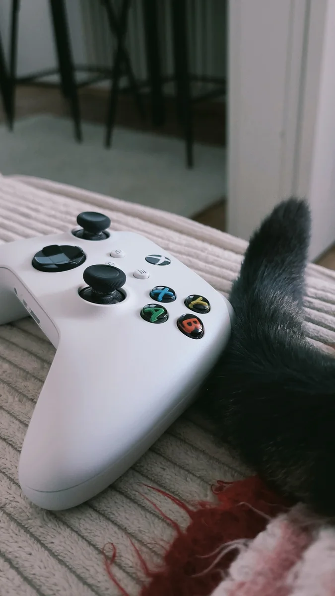 A game controller resting beside a cat on a couch
